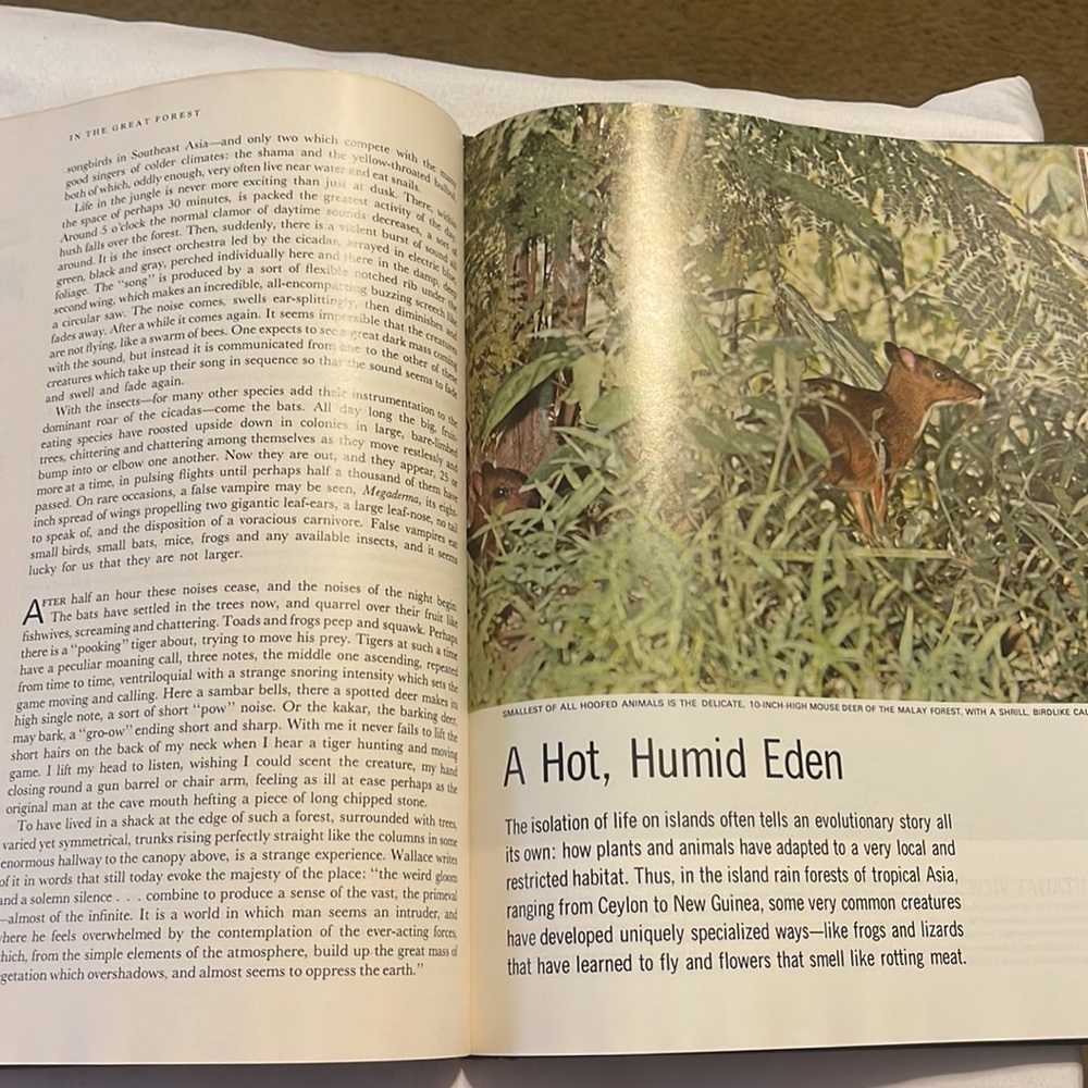 Life, nature library book - Picture 4 of 4